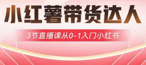 小红薯达人带货启航计划，3节直播课从0-1入门小红书-创客聚集地