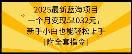 2025最新蓝海项目一个月变现1w+新手小白也能轻松上手【附全套指令】-创客聚集地