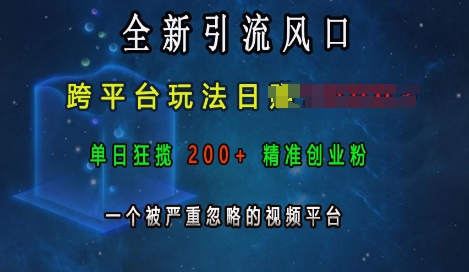 全新引流风口，跨平台玩法日入上k，单日狂揽200+精准创业粉，一个被严重忽略的视频平台-创客聚集地