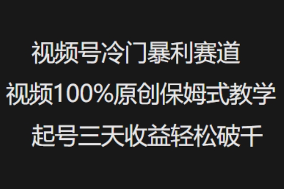 视频号冷门暴利赛道视频100%原创保姆式教学起号三天收益轻松破千-创客聚集地
