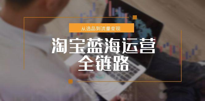 淘宝蓝海运营全链路，从选品到流量变现，小类目突围完整方案-创客聚集地