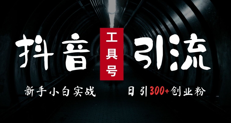 2024最新抖音工具号引流玩法，高效日引300+创业粉，当天变现5k，小白也可成为实战高手-创客聚集地