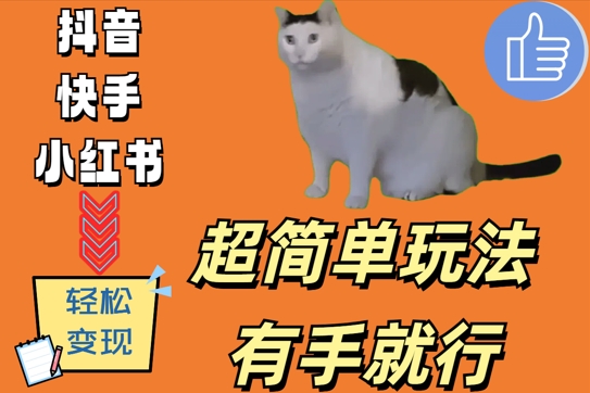 超简单玩法，有手就行，靠猫咪视频日入500+【揭秘】-创客聚集地
