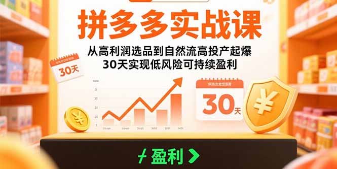 拼多多实战课：从高利润选品到自然流高投产起爆 30天实现低风险可持续盈利-创客聚集地