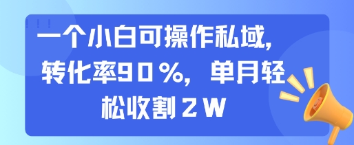 一个小白可操作私域，转化率90%，单月轻松收割2W-创客聚集地
