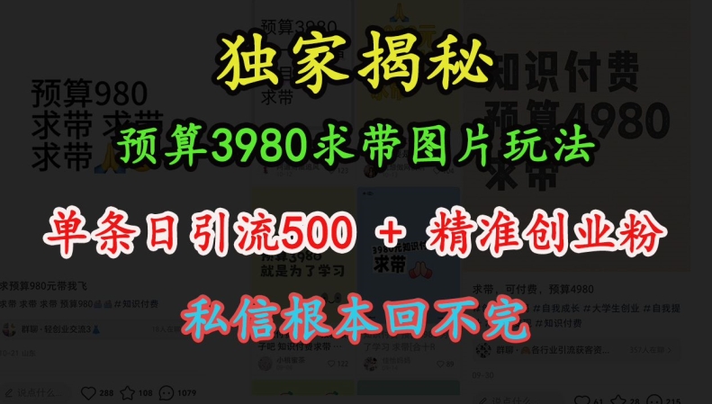 预算3980求带 图片玩法，单条日引流500+精准创业粉，私信根本回不完-创客聚集地