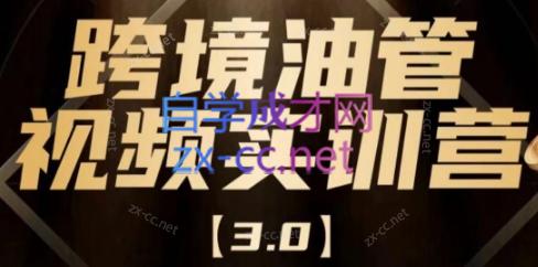 阿蔺Leo·跨境油管视频YouTube实训营(更新2025)-创客聚集地