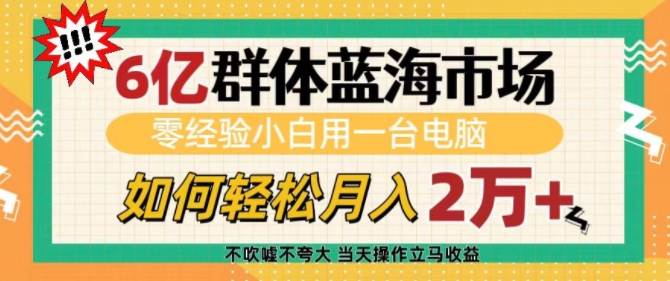 6亿群体蓝海市场，零经验小白用一台电脑，如何轻松月入过w【揭秘】-创客聚集地