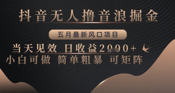 抖音无人撸音浪掘金，五月最新风口项目，当天见效，日收益多张，小白可做简单粗暴可矩阵【揭秘】-创客聚集地