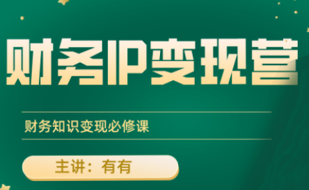 有有老师·财务IP变现营，财务知识变现必修课-创客聚集地