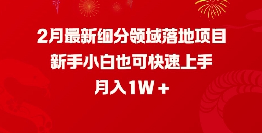 2月最新细分领域落地项目，新手小白也可快速上手，月入1W-创客聚集地