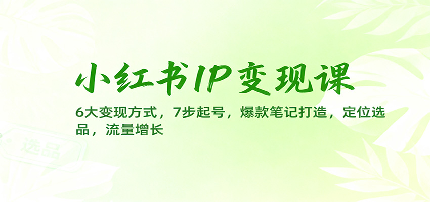 小红书IP变现课:6大变现方式,7步起号,爆款笔记打造,定位选品,流量增长-创客聚集地