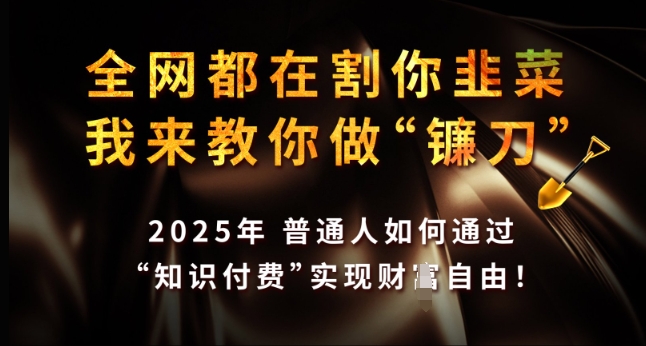 全网都在割你韭菜，我来教你做镰刀，2025年普通人如何通过 知识付费 实现财F自由【揭秘】-创客聚集地