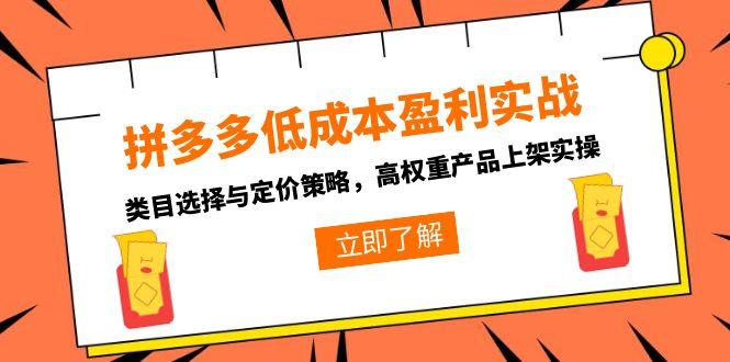 拼多多低成本盈利实战，类目选择与定价策略，高权重产品上架实操-创客聚集地