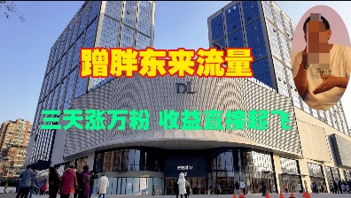 蹭胖东来流量，三天涨万粉，收益直接起飞-创客聚集地