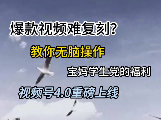 视频号4.0重磅上线，爆款视频难复刻？教你无脑操作宝妈学生党的福利【揭秘】-创客聚集地