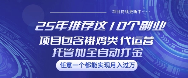 25年推荐这10个副业项目包含褂鸡类、代运营托管类、全自动打金类【揭秘】-创客聚集地