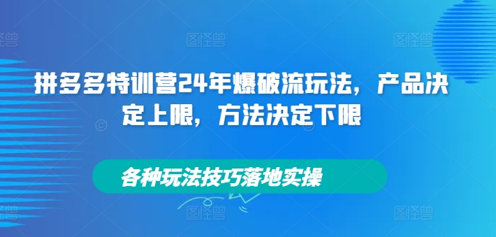 拼多多特训营24年爆破流玩法，产品决定上限，方法决定下限，各种玩法技巧落地实操-创客聚集地