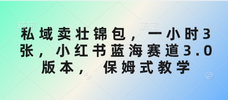 私域卖壮锦包，一小时3张，小红书蓝海赛道3.0版本， 保姆式教学-创客聚集地