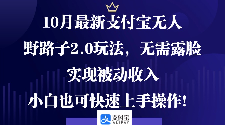 10月最新支付宝无人野路子2.0玩法，无需露脸，实现被动收入，小白也可…-创客聚集地