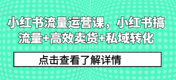 小红书流量运营课，小红书搞流量+高效卖货+私域转化-创客聚集地