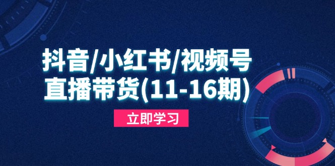 抖音/小红书/视频号/直播带货(11-16期-创客聚集地