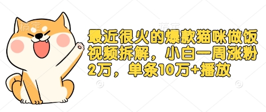 最近很火的爆款猫咪做饭视频拆解，小白一周涨粉2万，单条10万+播放(附保姆级教程)-创客聚集地