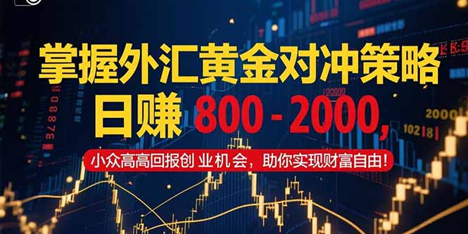 掌握外汇黄金对冲策略，日赚 800 – 2000，小众高回报创业机会，助你实…-创客聚集地