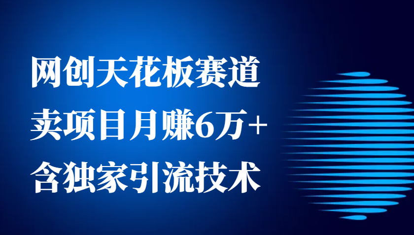 网创天花板赛道，卖项目月赚6万+，含独家引流技术(共26节课)-创客聚集地