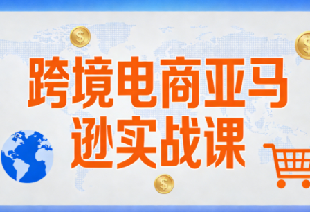 丝丝老师·跨境电商亚马逊实战课(更新2月)-创客聚集地