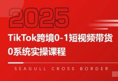 大亿老师·TikTok跨境0-1短视频带货-创客聚集地