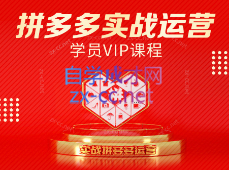 推易电商·拼多多实战运营课(更新2025月)-创客聚集地