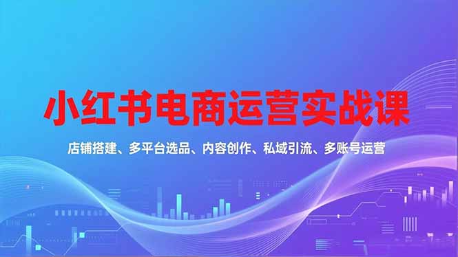 小红书电商运营实战课，店铺搭建、多平台选品、内容创作、私域引流、多账号运营等玩法-创客聚集地