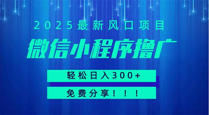 微信小程序撸广，最新风口项目，日入300+ 免费分享 可批量操作 小白可...-创客聚集地