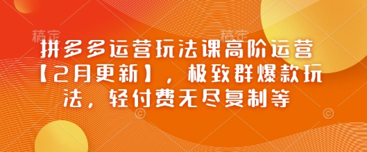 拼多多运营玩法课高阶运营【2月更新】，极致群爆款玩法，轻付费无尽复制等-创客聚集地