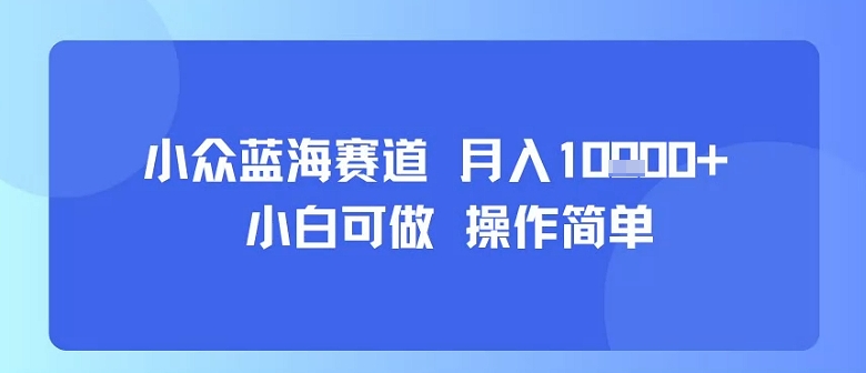 小众蓝海赛道，小白可做，操作简单，每天30分钟，月入1W+-创客聚集地