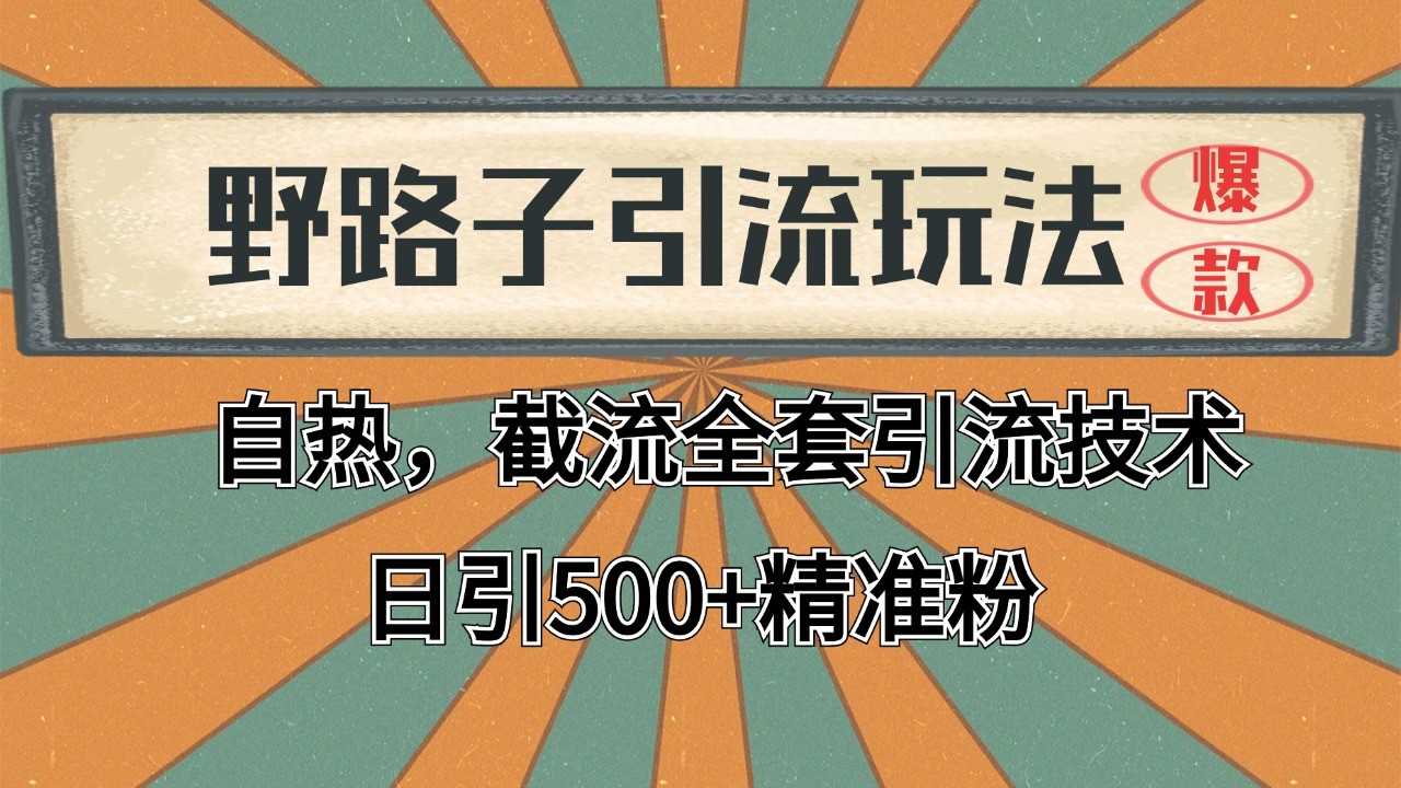 抖音小红书视频号全平台引流打法，全自动引流日引2000+精准客户-创客聚集地