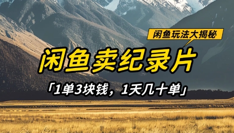 闲鱼卖纪录片1单3块钱，1天几十单，项目稳定有潜力-创客聚集地