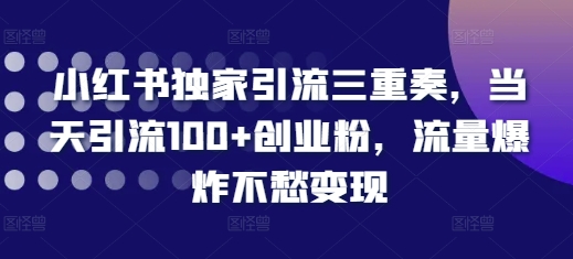 小红书独家引流三重奏，当天引流100+创业粉，流量爆炸不愁变现【揭秘】-创客聚集地