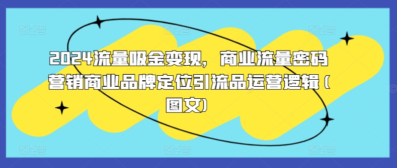 2024流量吸金变现，商业流量密码营销商业品牌定位引流品运营逻辑(图文)-创客聚集地