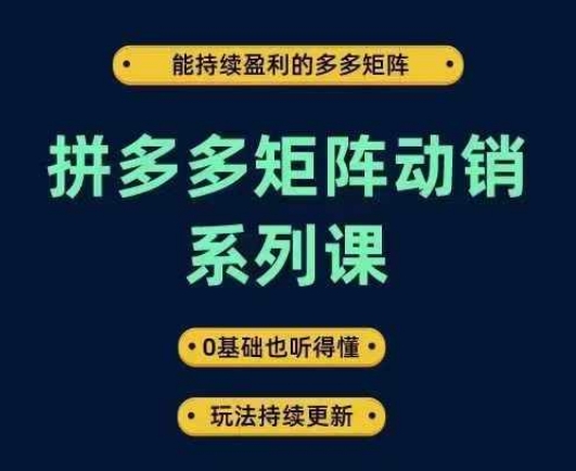 拼多多矩阵动销系列课，能持续盈利的多多矩阵，0基础也听得懂，玩法持续更新-创客聚集地