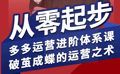 拼多多运营进阶系统课，从零起步，多多运营进阶体系课，破茧成蝶的运营之术-创客聚集地