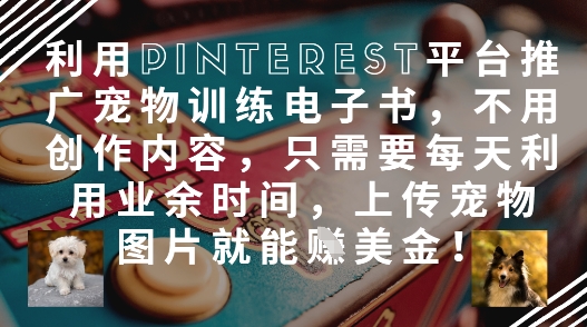 利用Pinterest平台推广宠物训练电子书，不用创作内容，只需要每天利用业余时间，上传宠物图片就能挣美金!-创客聚集地