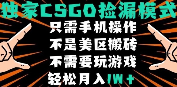 CSGO自动捡漏项目，最新独家玩法，不是美区搬砖，不需要了解和玩游戏，新手小白轻松月入1W+【揭秘】-创客聚集地
