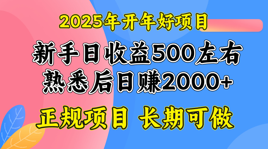 2025开年好项目，单号日收益2000左右-创客聚集地