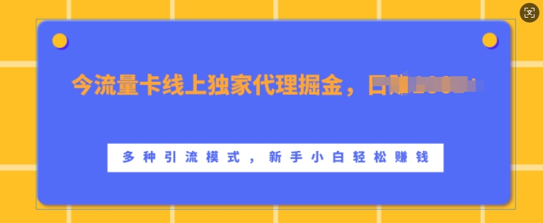 流量卡线上独家代理掘金，日入1k+ ，多种引流模式，新手小白轻松上手【揭秘】-创客聚集地