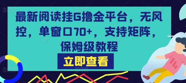 最新阅读挂G撸金平台，无风控，单窗口70+，支持矩阵，保姆级教程【揭秘】-创客聚集地