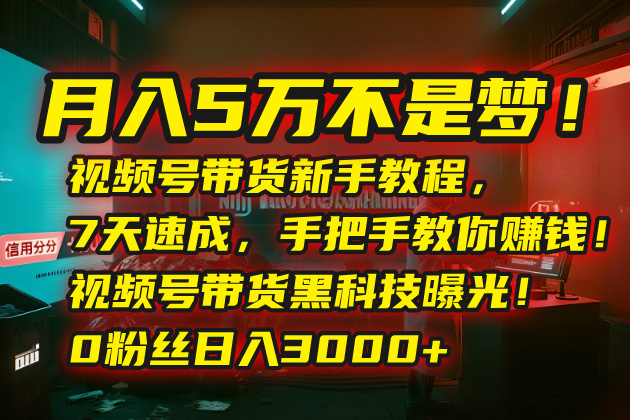 月入5万不是梦！视频号带货新手教程，7天速成，手把手教你赚钱！视频号...-创客聚集地