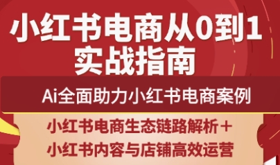 天诺老吴·2025小红书电商全链路运营-创客聚集地