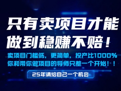 只有卖项目才能做到稳挣不赔，门槛低，更简单，你也可以年入百个W【揭秘】-创客聚集地